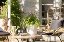 Habitat Curve White Ceramic Planter -Habitat 1259290 R Z004C