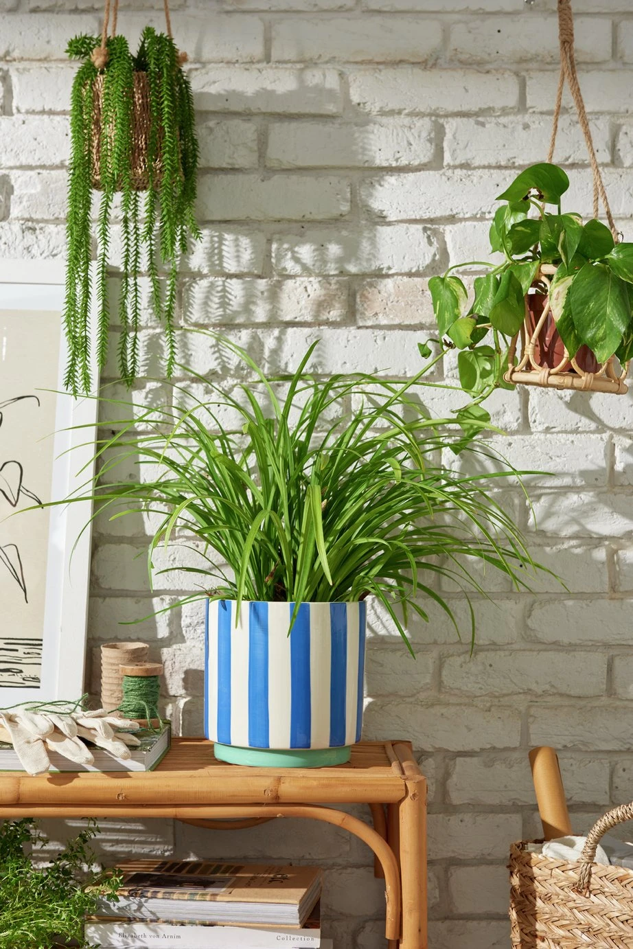 Habitat Blue Stripe Ceramic Planter 4 Habitat Blue Stripe Ceramic Planter - Image 2