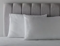 Habitat Anti-Allergy Firm Pillow - 2 Pack -Habitat 2910765 R Z004C